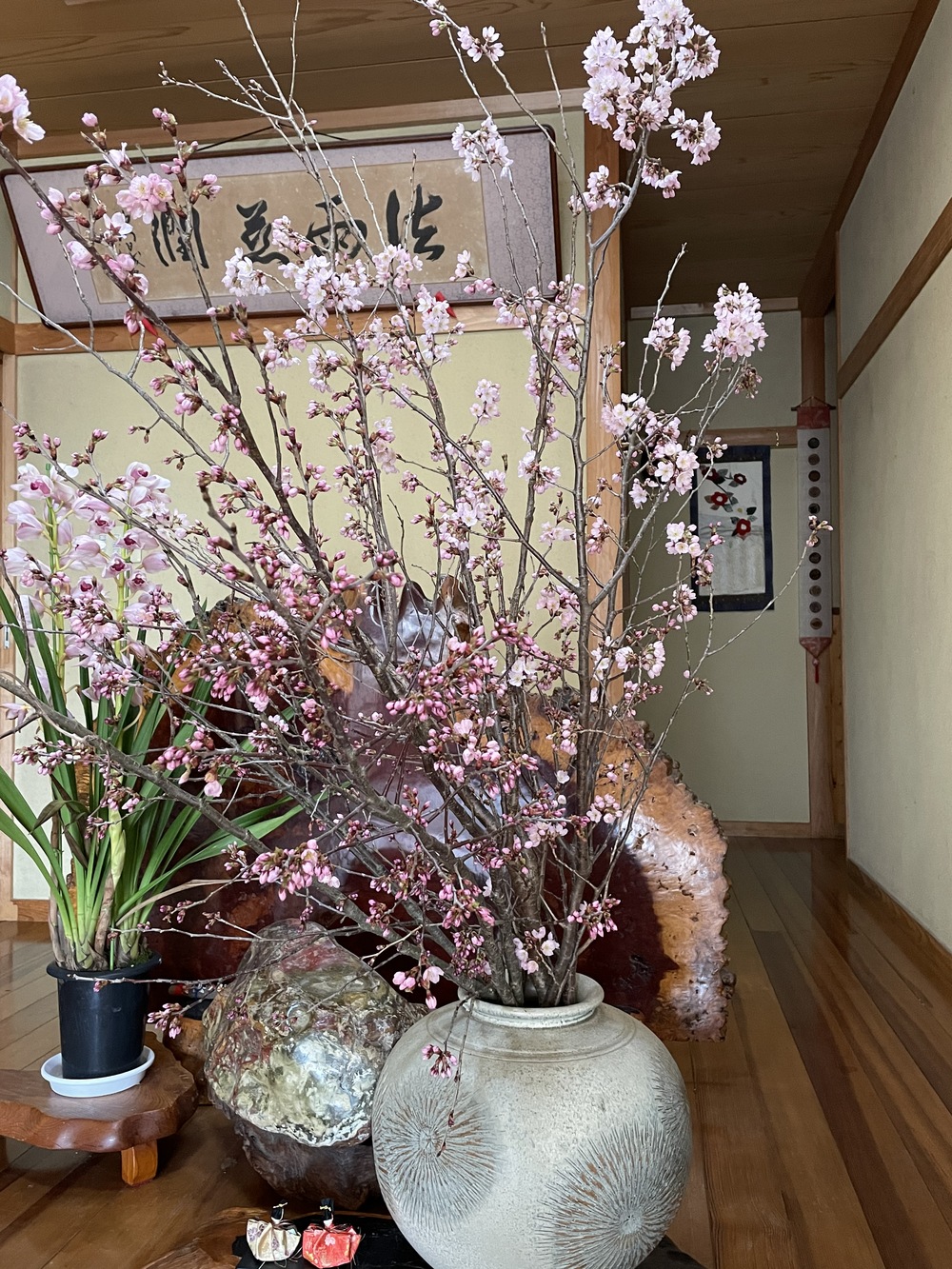 桜