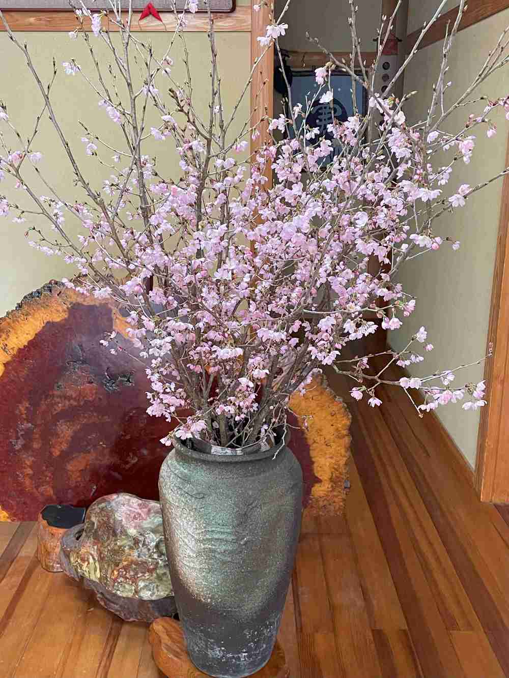山桜